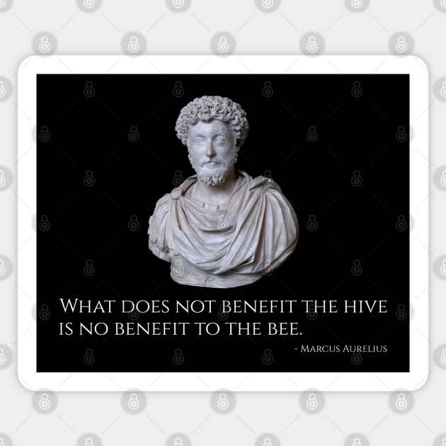 Caesar Marcus Aurelius Quote - Ancient Rome Stoic Philosophy Sticker by Styr Designs